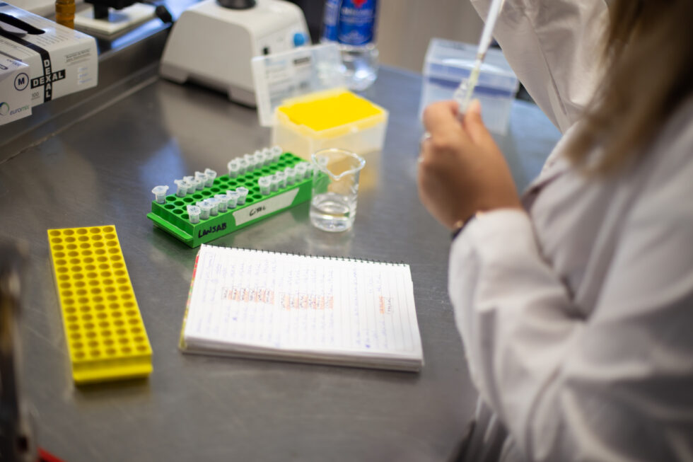 Investigación